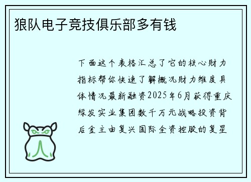 狼队电子竞技俱乐部多有钱