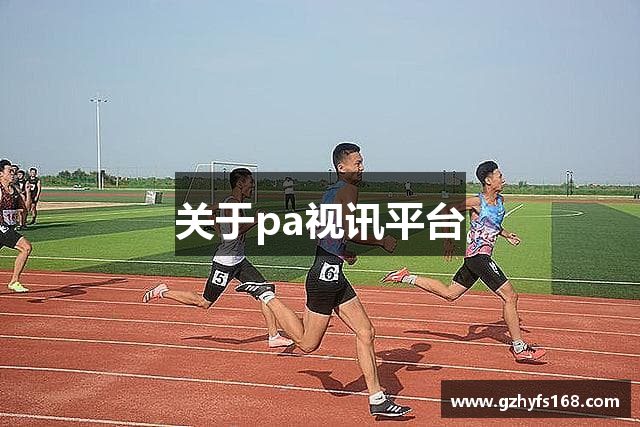 关于pa视讯平台